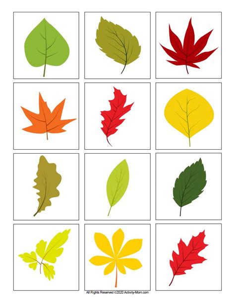 Leaf Matching Game Printable